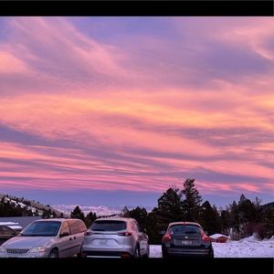 Meet your Posher, Kyra